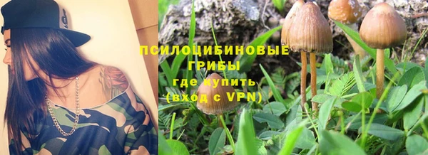 МДПВ Аркадак