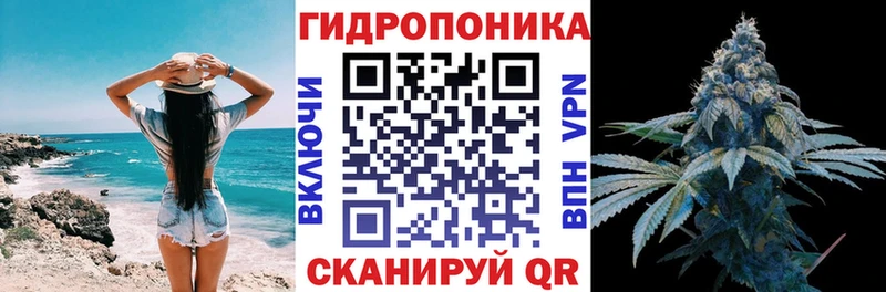 Конопля SATIVA & INDICA  Сенгилей 